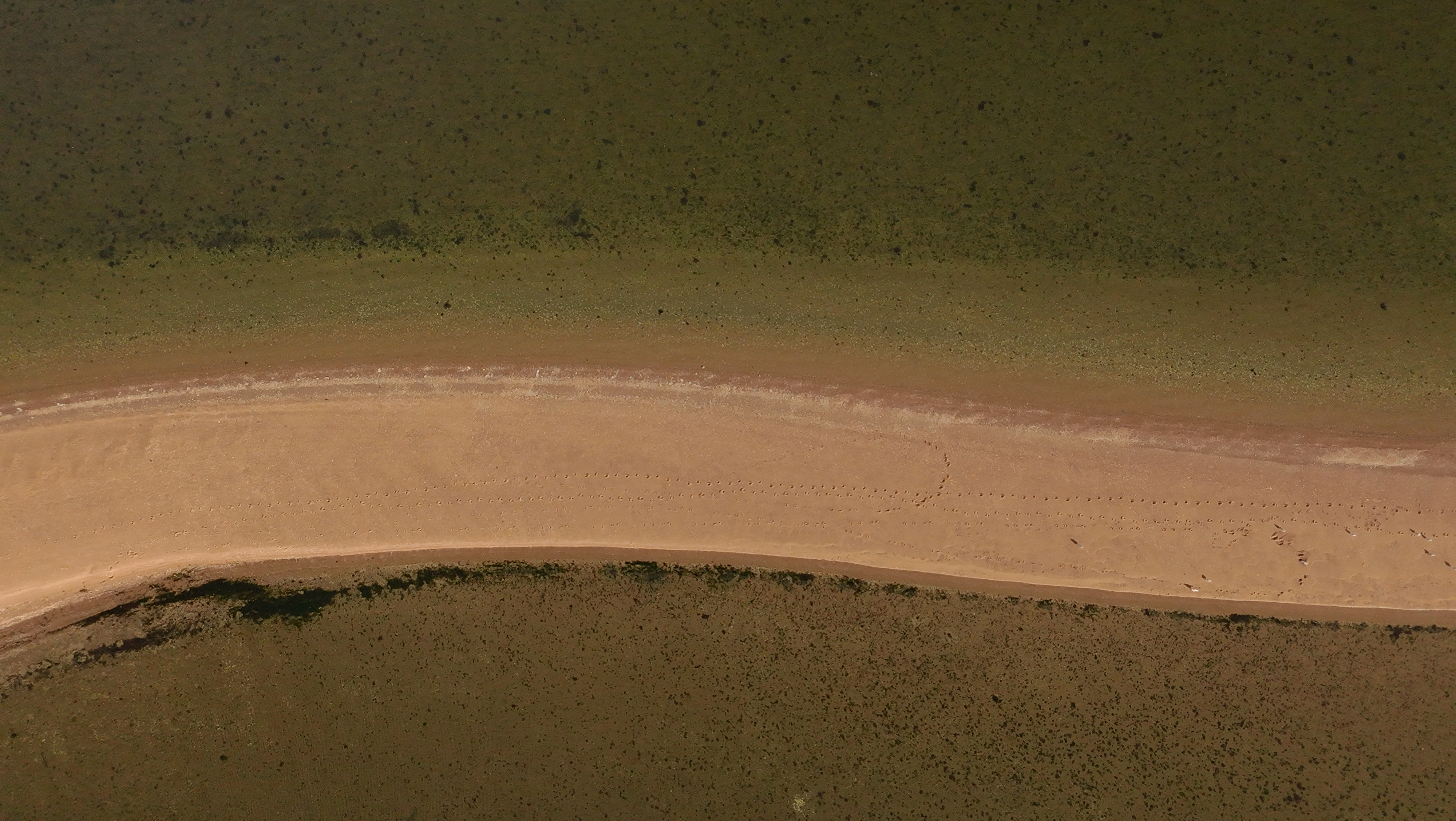 Conimicut Point sandbar, Warwick, RI
